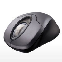 Microsoft Wireless Optical Mouse 3000 (K80-00012)